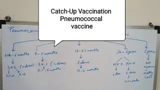 Catch-Up Vaccination for Pneumococcal Vaccine I Immunization I Paediatrics