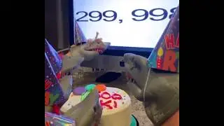 Shark Puppet Hits 300k followers on Instagram