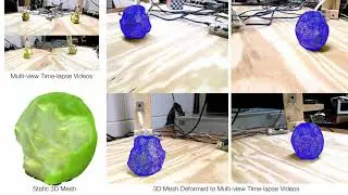 Multi-Camera Microenvironment for 3D Capture of Aging Objects
