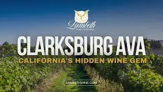 Clarksburg AVA: California's Hidden Wine Gem