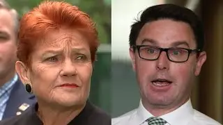 &lsquo;The poll figures are disastrous&rsquo;: One Nation surging while Nationals are down