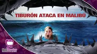 Tibur&oacute;n Prehist&oacute;rico: La Amenaza de Malib&uacute;  🦈🦈Tibur&oacute;n Ataca en Malib&uacute;