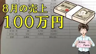 【８月の売上】新規就農８年目、やっと月商１００万円超えました。
