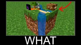 Minecraft WAIT WHAT #1872