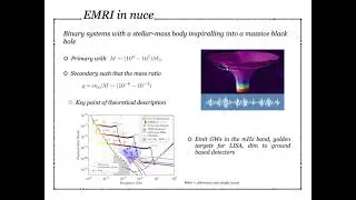 LISA, Extreme Mass Ratio Inspirals, and new fundamental fields in the gravity sector