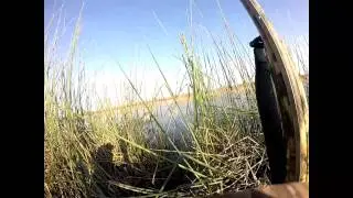 Duckhubting at Delevan NWR.. POND 20
