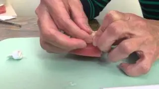 Dr  Maull presents Gishy Goo