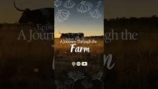 A Journey Through the Farm | Calming + Educational Bedtime Story  #bedtimestory #lullaby #calmmusic