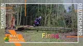 Unterwegs in der Finne bei Rastenberg