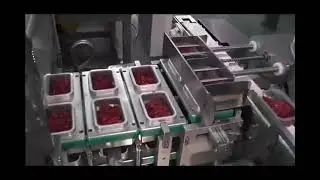 Pneumatic Cup De-Nester & Chunky Vinaigrette Salad Volumetric Filling Line