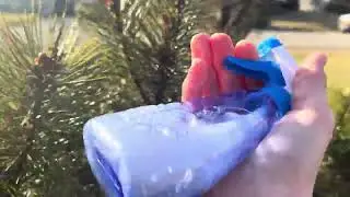 Spraying a Pine Bush for Pine Scale