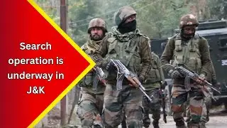 Security forces continue the cordon & search operation in Saniyal area for the 2nd consecutive day