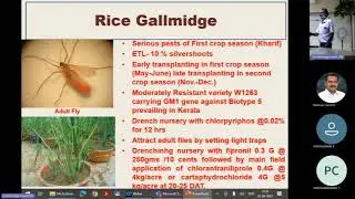 Guest Lecture on _Current trends in Rice pests management in the state of Kerala