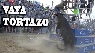 MENUDO TORTAZO!!!  VACAS DE FERNANDO MACHANCOSES