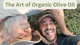 The Art of Organic Olive Oil: Tradition and Sustainability in Peloponnese, Greece