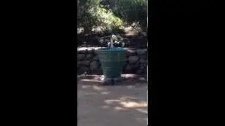 Gladding McBean Planter Fountain Conversion