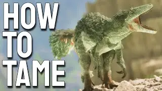 How To Tame MEGARAPTOR in ARK: Valguero Ascended