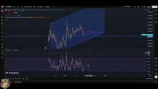 Toshi Crypto Update: Consolidation & Next Move Analysis #shorts