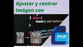 Ajustar y centrar imagen con PHP para WooCommerce