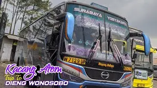 ATB MODE PARIWISATA | Bus Artis Sugeng Rahayu 