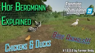 👨🏼&zwj;🌾 FS22 Hof Bergmann Explained 👨🏼&zwj;🌾 Chickens & Ducks  *Chicks & Ducklings*
