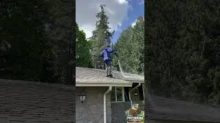 Roof Moss treatment