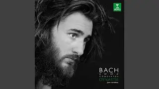 Harpsichord Concerto No. 6 in F Minor, W. C73 (formerly attrib. W. F. Bach): I. Allegro di molto