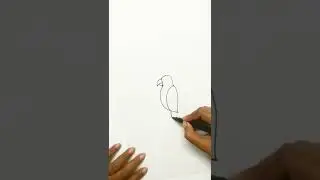 how to draw parrot | draw parrot easy| draw parrot for kids |how to draw bird