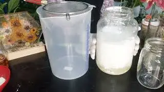 DIY Membuat Susu Kefir