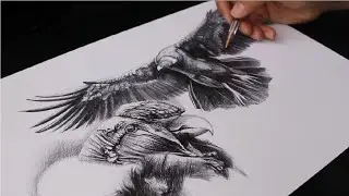 Black pen ink drawing. Condor. Realistic Art