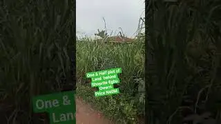 Buy and Build Land in Egbu Owerri Imo state #property