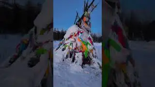 11 января 2026 г.