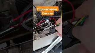 Как подключить звуковой сигнал! Акцент.#сигналы