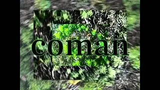coman - wynorriphobia