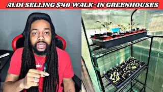 You Won't Believe This $40 ALDI Greenhouse! 🌱 | Transform Your Garden Overnight!