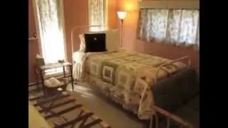 From the Brush Suite