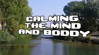 [ Mindbody ] 15 minutes of soft music to soothe the mind and body [ Mind psychology ]