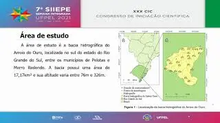 VII SIIEPE - UFPEL - VICT&Oacute;RIA DE SOUZA WOJAHN