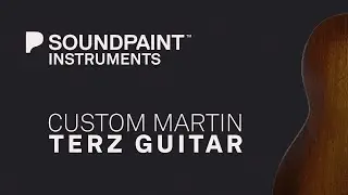 Soundpaint Custom Terz Guitar Tutorial