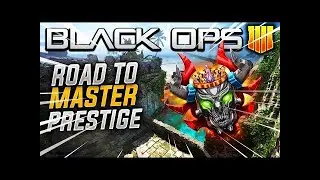 ROAD TO MASTER PRESTIGE (CALL OF DUTY BLACK OPS 4 MULTIPLAYER)