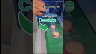 Flow Wrap Machine For Cookie Packing