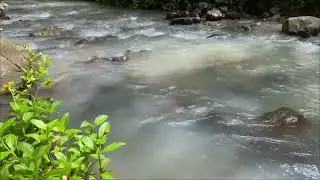 River Flowing 2026, Relaxing Forest Stream and Soft Calmong for Deep Calm