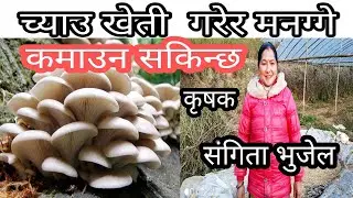 च्याउ खेतीको लागी सम्पुर्ण  जानकारी  दिदै महिला कृषक संगीता भुजेलHow to cultivate mushroom?#nep