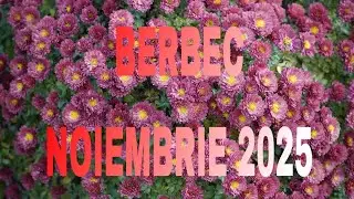 BERBEC ♈ NOIEMBRIE 2025 GELOZIE,P&Acirc;NĂ SI DIN PARTEA PARTENERULUI SI DE LA OAMENII APROPIATI 💯👈🏼🙌