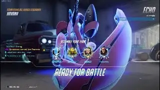 Overwatch - Storm Rising (All Heroes), Legendary: Echo (Anniversary 2020)