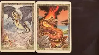 Druid Animal Oracle Deck