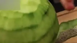 MULTI-FUNCTION VEGETABLE PEELER!!!