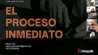 Acusacion directa y Proceso inmediato en el NCPP - Miguel Luyo