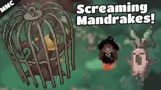 Головоломка &laquo;Кричащие мандрагоры и колючая лоза&raquo;! &mdash; Полная версия Little Witch in the Woods