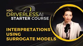 24. Interpretations using Surrogate Models / DAI Starter Course